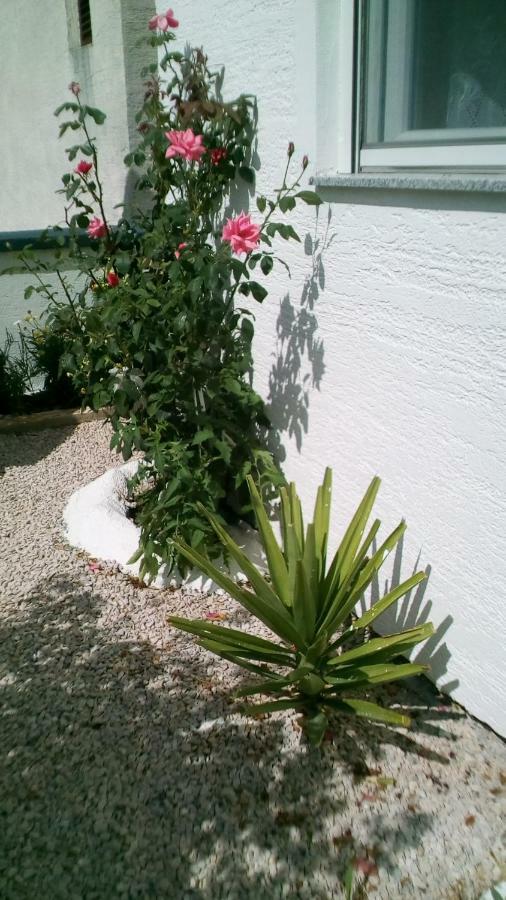 Apartment Roko Vir Exterior photo